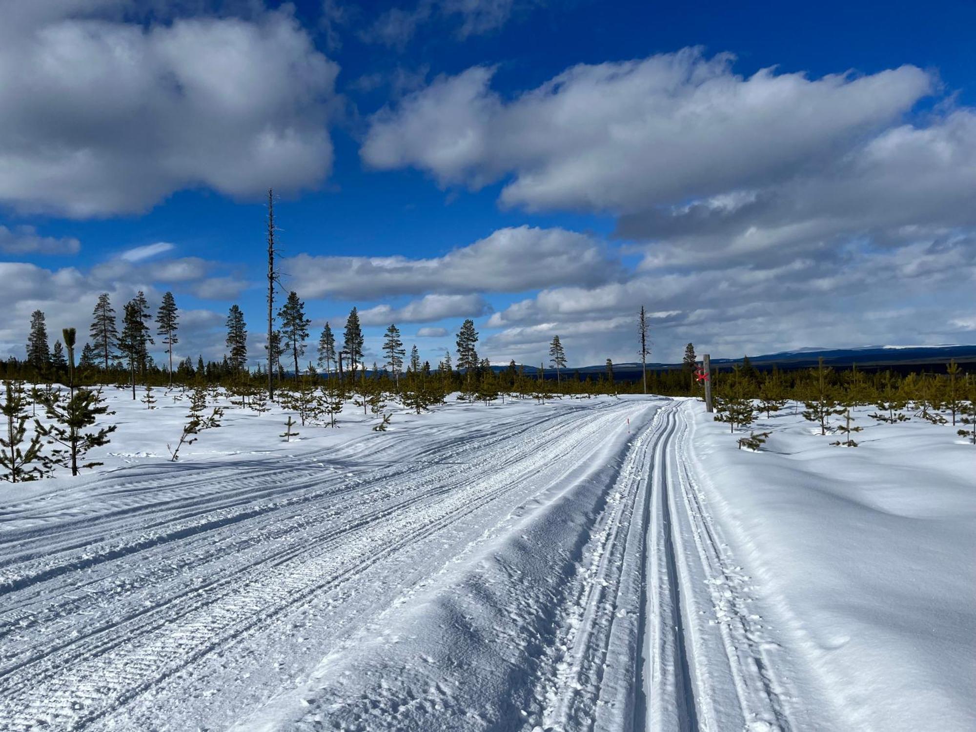 Knappgarden Särna Dış mekan fotoğraf