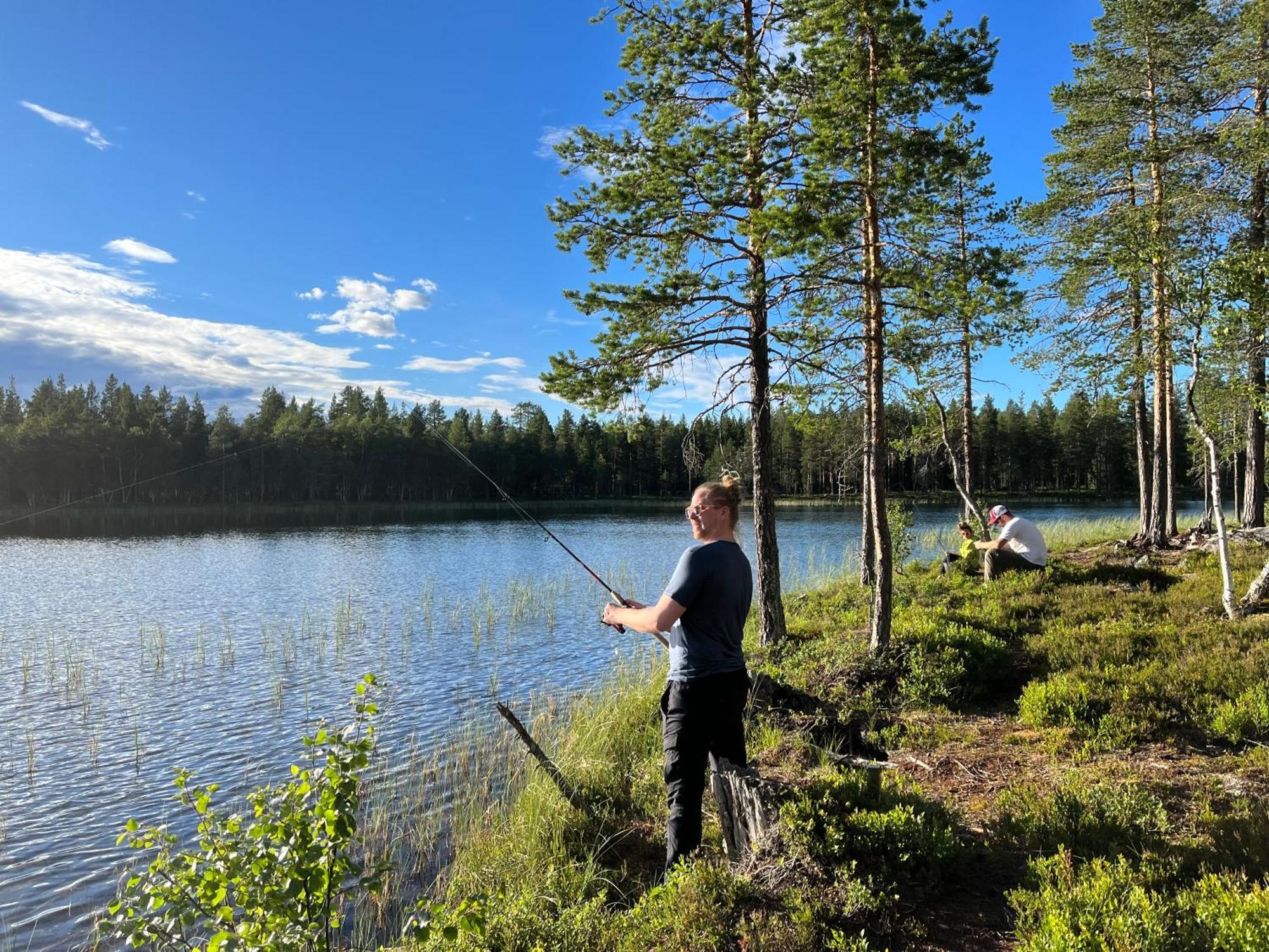 Knappgarden Särna Dış mekan fotoğraf