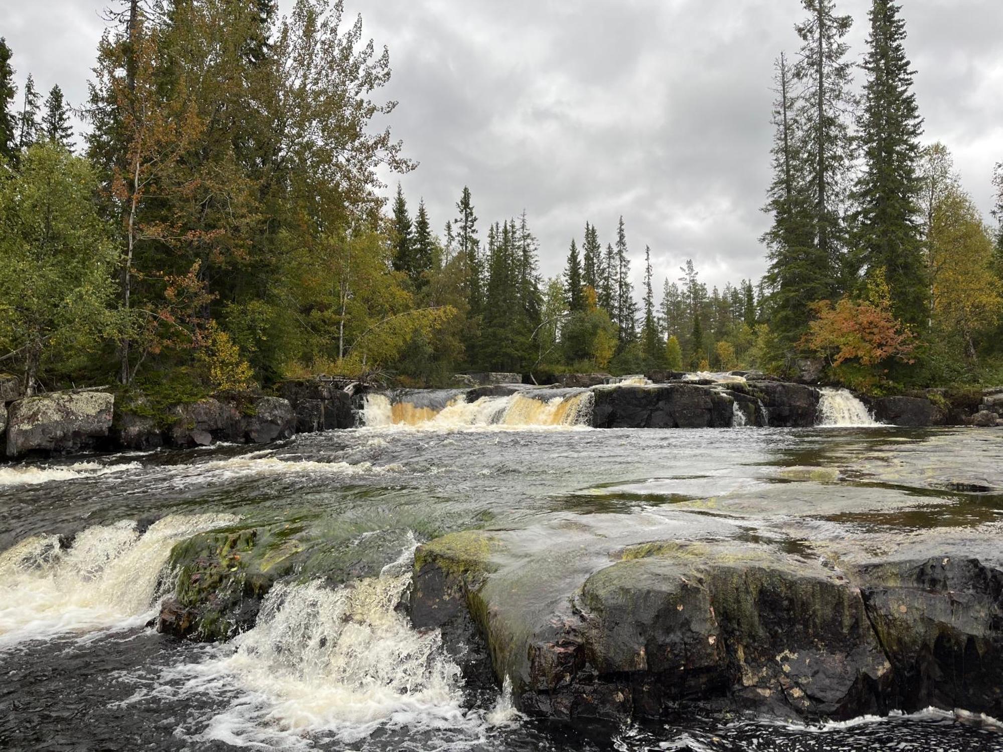 Knappgarden Särna Dış mekan fotoğraf