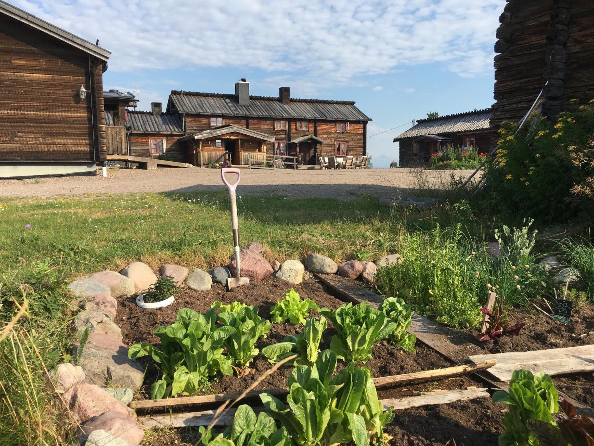 Knappgarden Särna Dış mekan fotoğraf