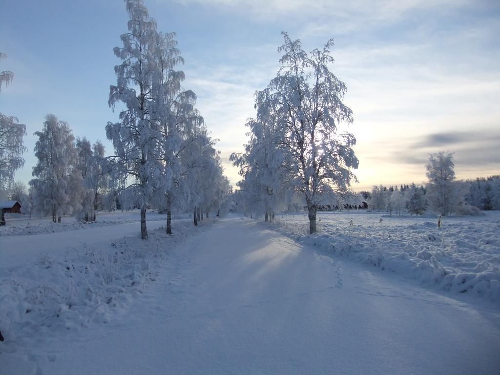 Knappgarden Särna Dış mekan fotoğraf