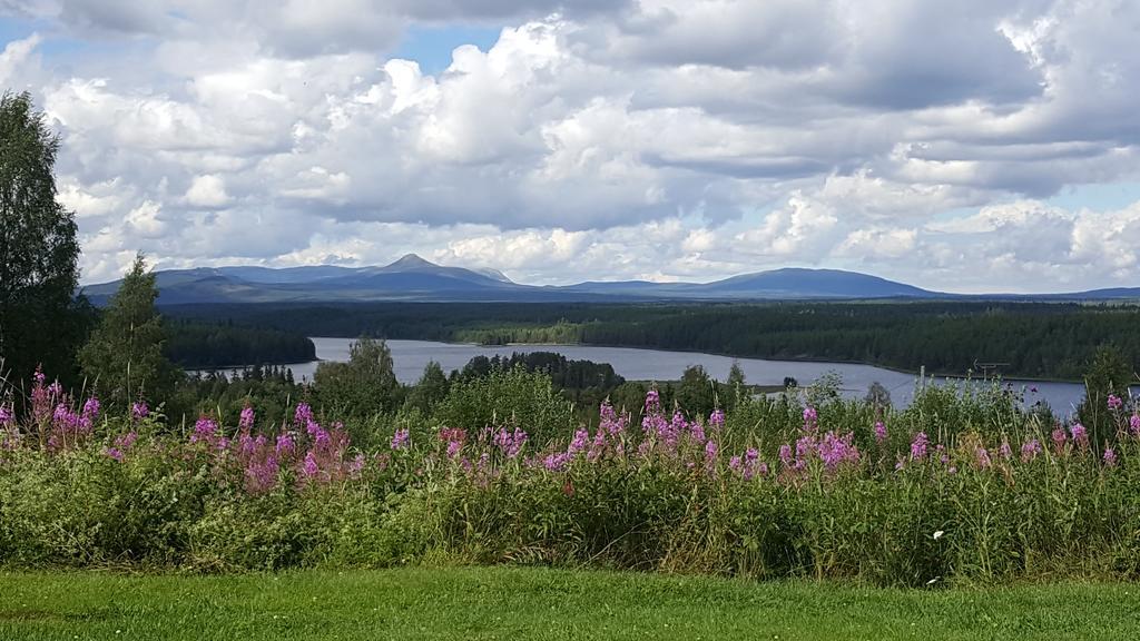 Knappgarden Särna Dış mekan fotoğraf